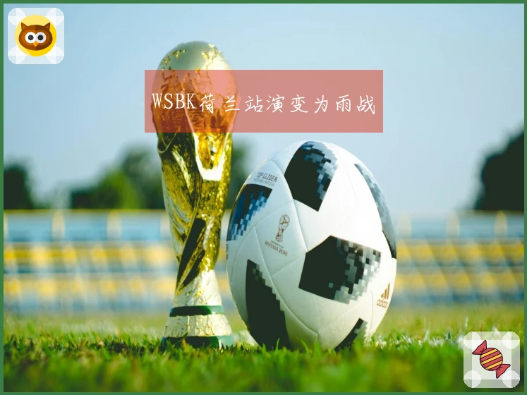 WSBK荷兰站演变为雨战