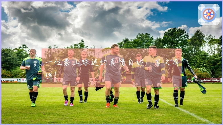 一位泰山球迷的真情自述，言之有理！